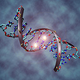 Image for article titled The Top 10 Claims Made by Creationists to Counter Scientific Theories